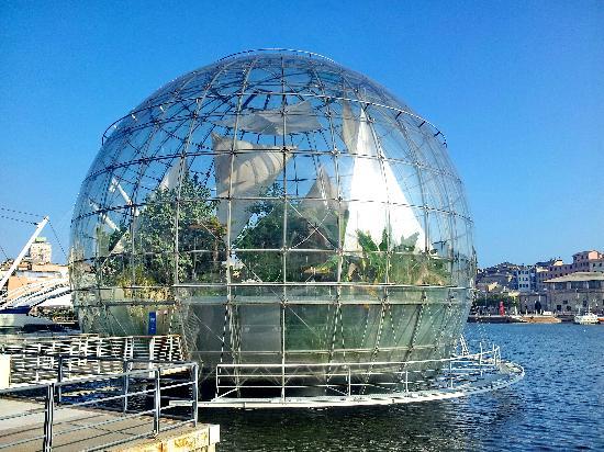 Foto 6 - Biosfera -Gênova-2012