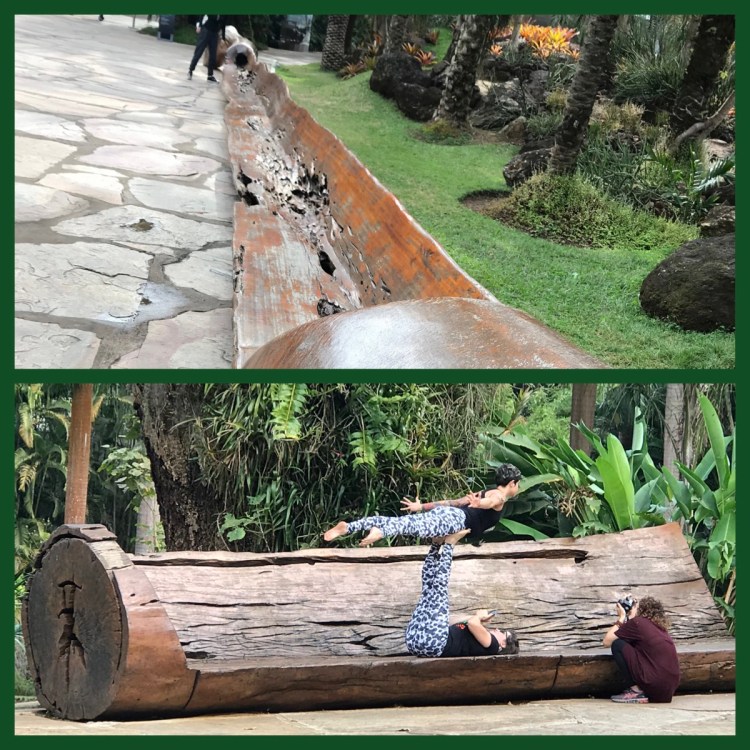 Foto 13 - Bancos Hugo França