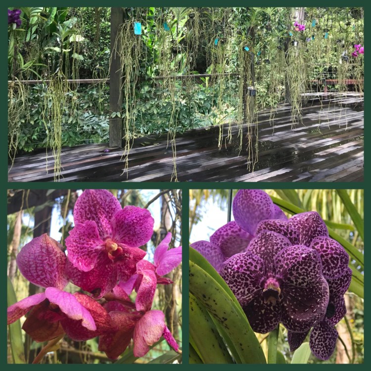 Foto 23b - Vandário