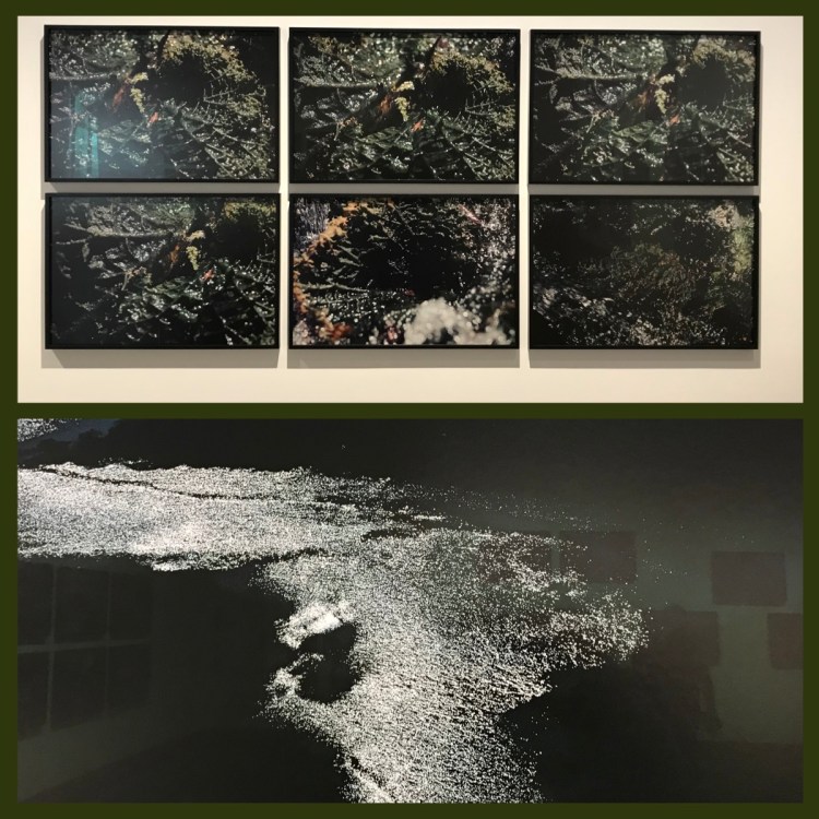 Foto 28 - Pavilhão Cláudia Andujar