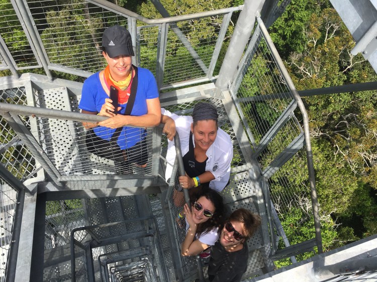 Foto 15 - Torre de 42 mts sobre as árvores