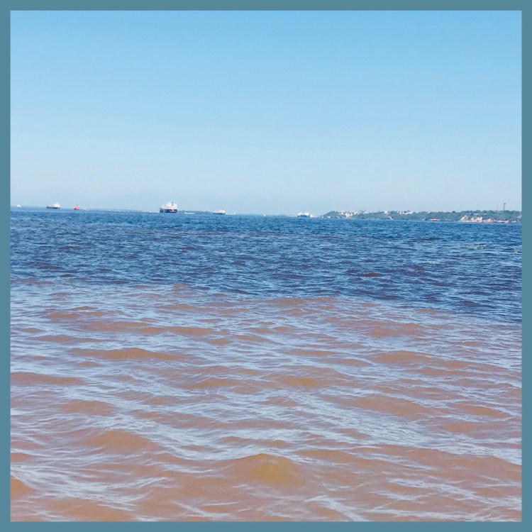 Foto 30 - Encontro das águas