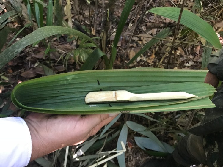 Foto 34 - Prato e Talher