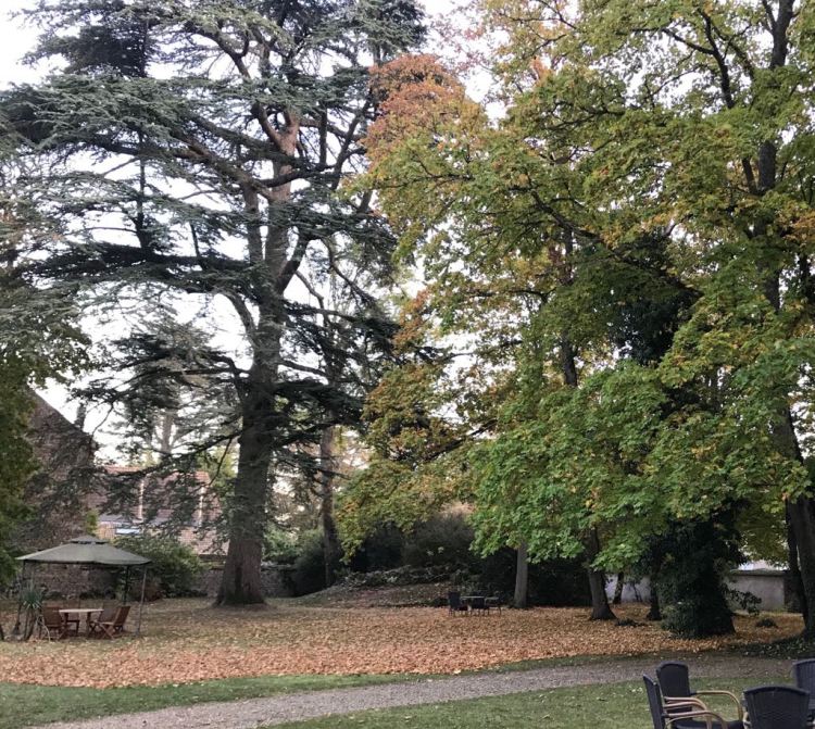 Foto 1 - Outono na Borgogne